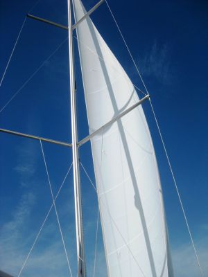 IMG_4350.JPG