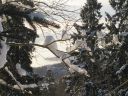 IMG_7669.JPG