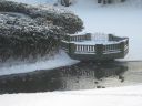 IMG_7701.JPG